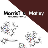 Morris T & Matley - Chlorophyll