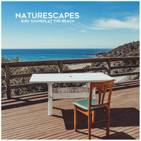 Naturescapes - Bird Sounds at the Beach