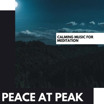 Various Artists - Peace at Peak: Calming Music for Meditation