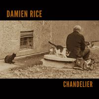 Damien Rice - Chandelier