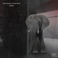 Tripeo - The Elephant in the Room