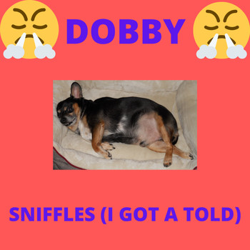 Andy Garrett - Dobby - Sniffles (I Got a Told)