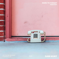 Sam Hunt - Hard To Forget (Radio Edit)