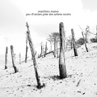Matthieu Malon - Peu d'ombre près des arbres morts
