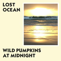 Wild Pumpkins at Midnight - Lost Ocean