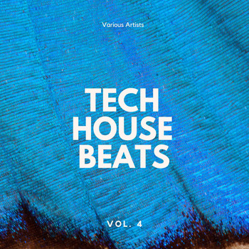 Various Artists - Tech House Beats, Vol. 4