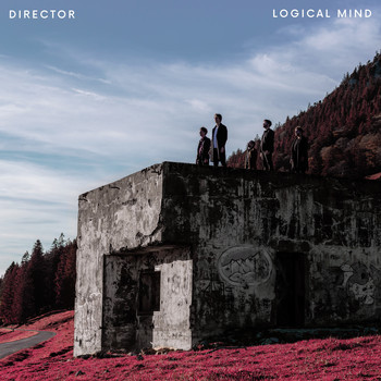 Director - Logical Mind