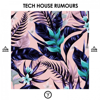 Various Artists - Tech House Rumours, Vol. 7 (Explicit)