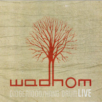Wadhom - Didgeridoo / Hang Drum Live