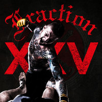 Fraction - Fraction XXV (Explicit)
