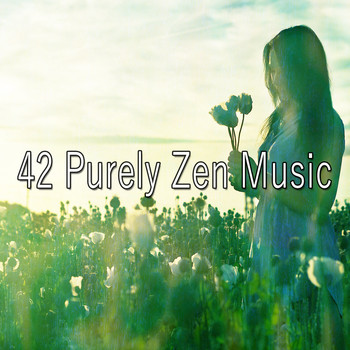 Meditation Spa - 42 Purely Zen Music