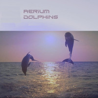 Aerium - Dolphins