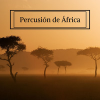 Sabor Africano - Percusión de África: Música Instrumental Africana para Soñar y Relajarse