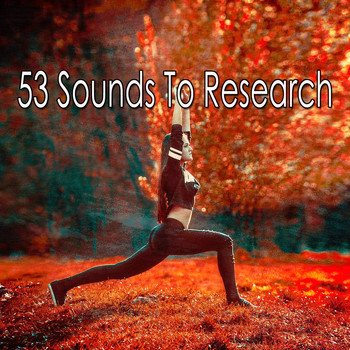 Classical Study Music - 53 Sounds to Research