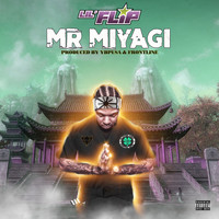 Lil' Flip - Mr Miyagi (Explicit)