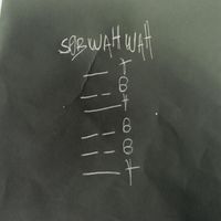 Sebwahwah - The Mountain