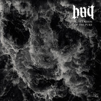 Bait - Revelation of the Pure