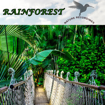 Klaus Back & Tini Beier - Rainforest (Nature Recordings)