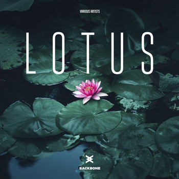 Various Artists - Lotus