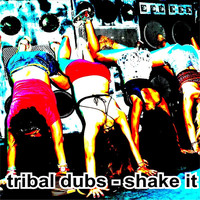 Tribal Dubs / - Shake It
