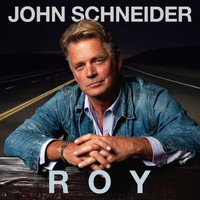 John Schneider - Roy