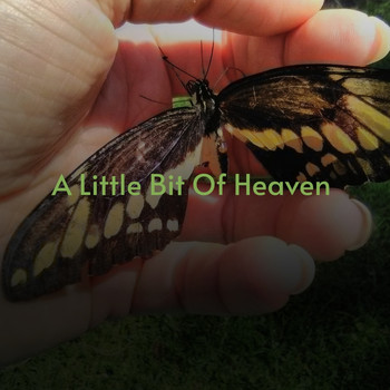 Various Artists - A Little Bit of Heaven