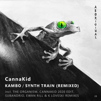 CannaKid - Kambo / Synth Train (Remixed)
