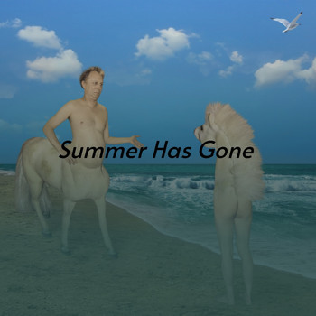 Various Artists - Summer Has Gone