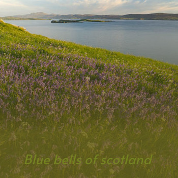 Various Artists - Blue Bells of Scotland