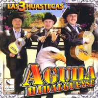 Aguila Hidalguense - Las Tres Huastecas