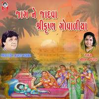 Meena Patel - Jag Ne Jadva Shree Krishna Govadiya
