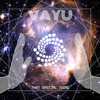 Vayu - That Special Thing