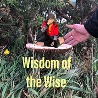 The Five Minute Band - Wisdom of the Wise
