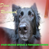 Dave Redmond - Your Silence Speaks a Thousand Words