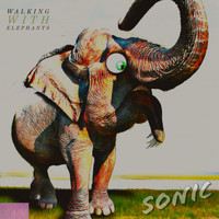 Sonic - Walking with Elephants