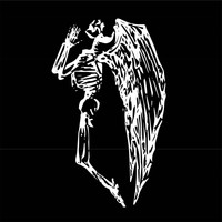 Archangel - Arctic Sun
