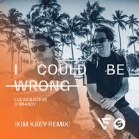 Lucas & Steve x Brandy - I Could Be Wrong (Kim Kaey Remix)