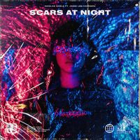 Nicolas Haelg - Scars at Night (feat. Jamie Lee Harrison)