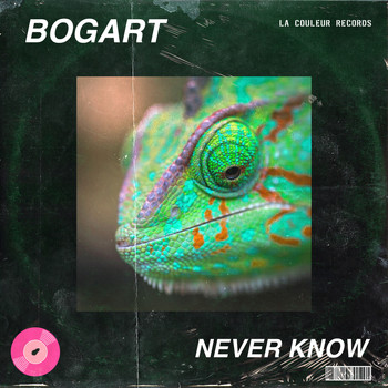Bogart - Never Know