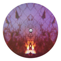 Unfancy D - Grounding