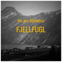 Ole Jørn Myklebust - Fjellfugl