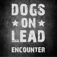 Dogs On Lead - Encounter