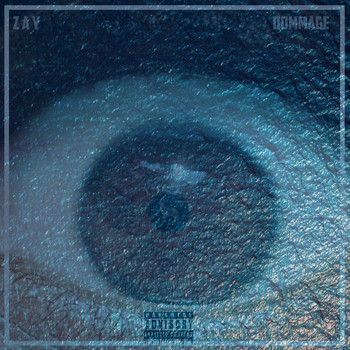 Zay - Dommage (Explicit)