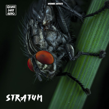 Various Artists - Stratum