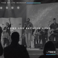 Tree of Life Worship - Come and Breathe Here