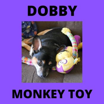 Andy Garrett - Dobby - Monkey Toy