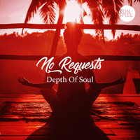 No Requests - Depth of Soul