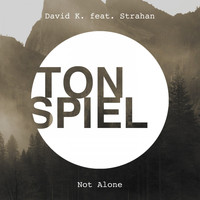 David K. feat. Strahan - Not Alone
