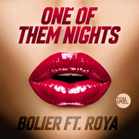 Bolier feat. Roya - One of Them Nights
