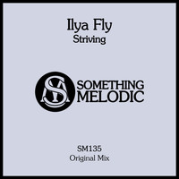 Ilya Fly - Striving